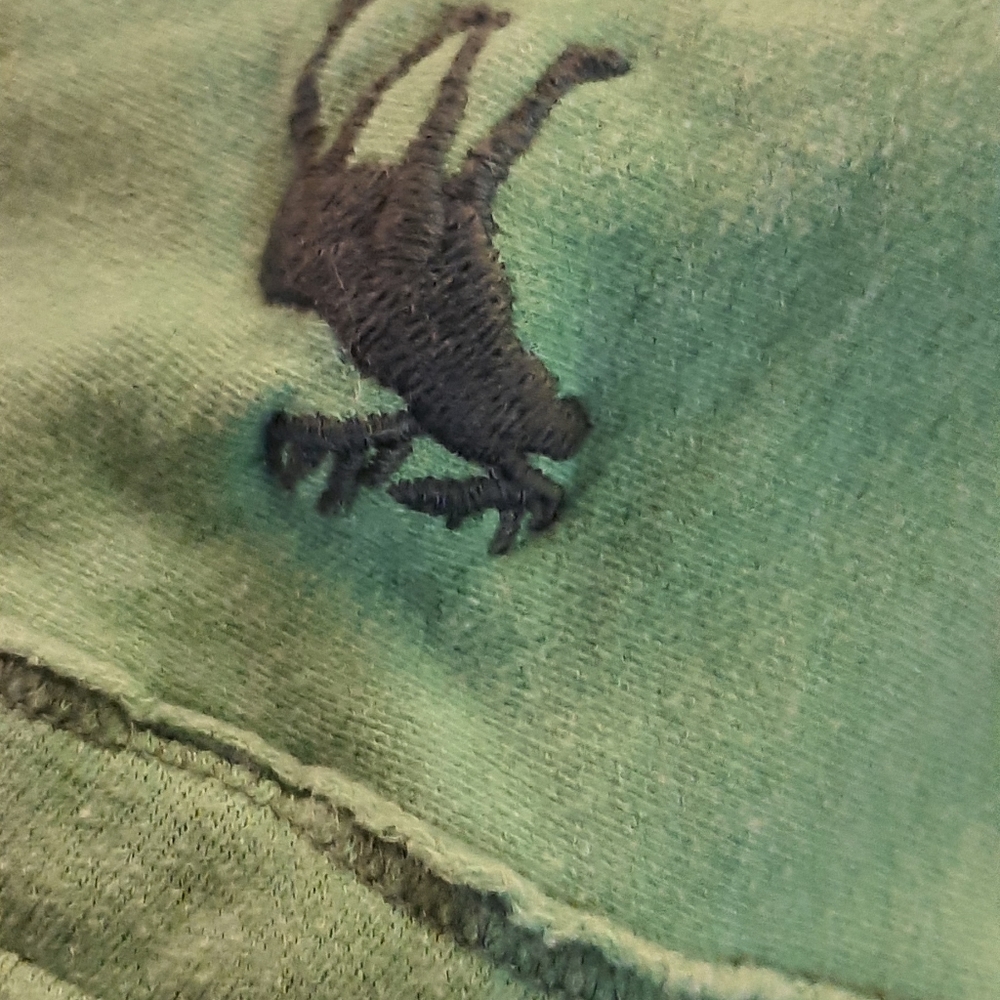 Abercrombie and Fitch Hooded Sweater